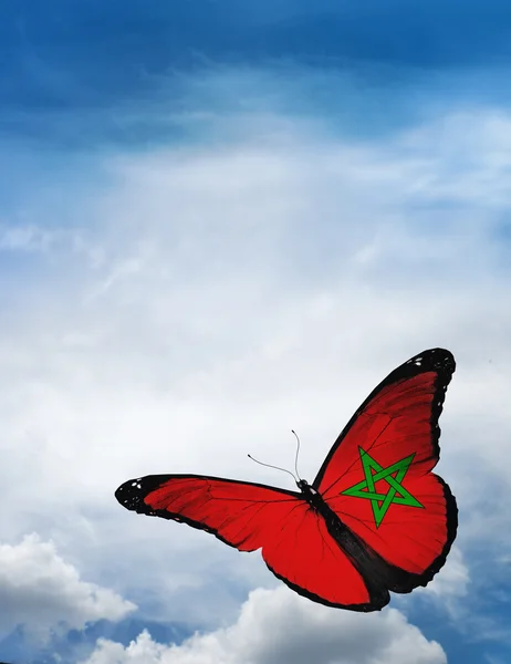 Flaga Maroka motyl — Zdjęcie stockowe