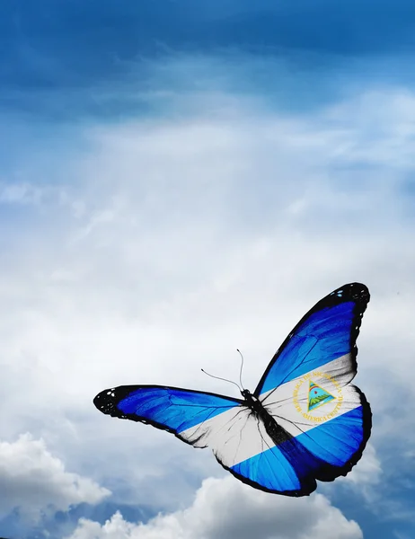 Nicaragua flag butterfly — Stock Photo, Image