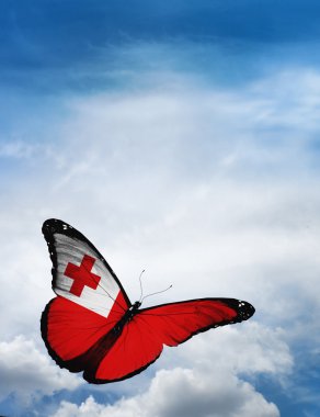 Tonga bayrak kelebek
