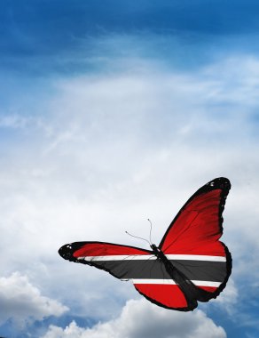 Trinidad ve Tobago bayrak kelebek