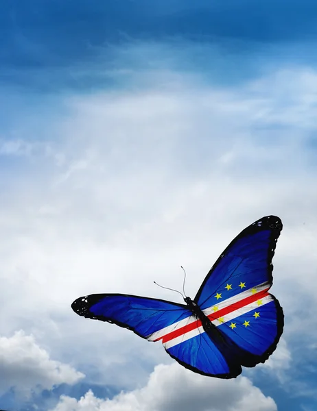 Cape Verde flag butterfly — Stock Photo, Image