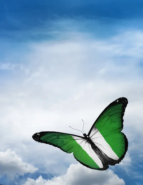 Nigeria bandeira borboleta — Fotografia de Stock