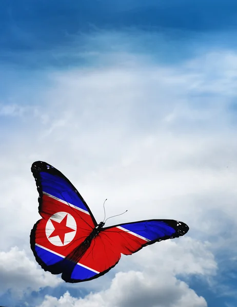 Schmetterling unter nordkoreanischer Flagge — Stockfoto