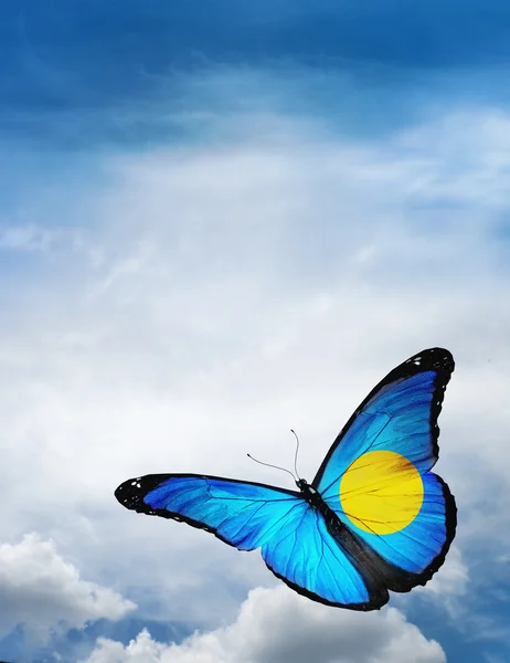 Palau flag butterfly — Stock Photo, Image