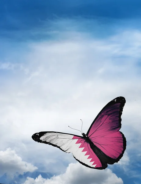 Vlag van Qatar butterfly — Stockfoto