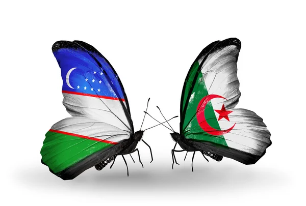 Butterflies with Uzbekistan and Algeria flags — Stock Photo, Image