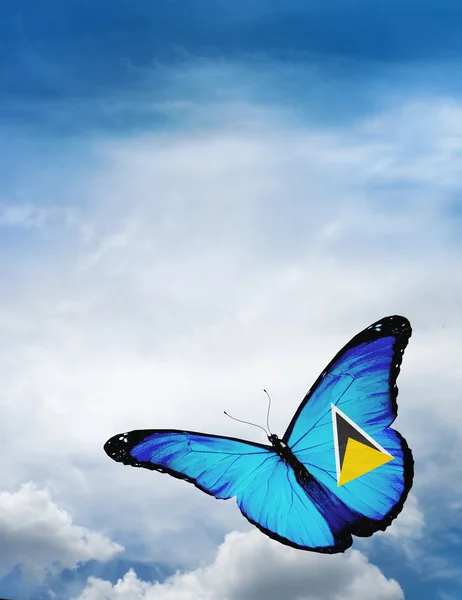 Vlag van Saint Lucia butterfly — Stockfoto