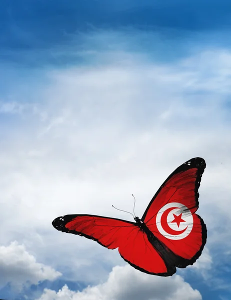 突尼斯国旗蝴蝶 — 图库照片