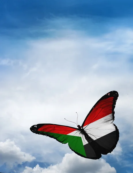 Sudan flag butterfly — Stock Photo, Image