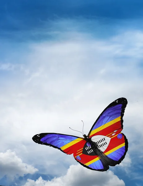 Vlag van Swaziland butterfly — Stockfoto