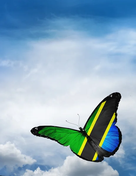 タンザニアの旗蝶 — ストック写真