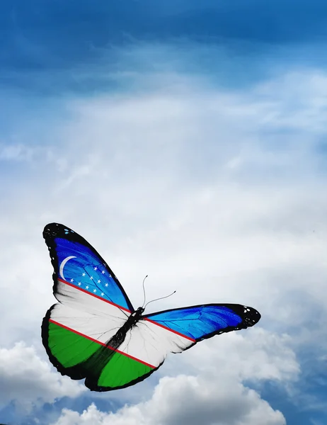 Uzbekistan flag butterfly — Stock Photo, Image