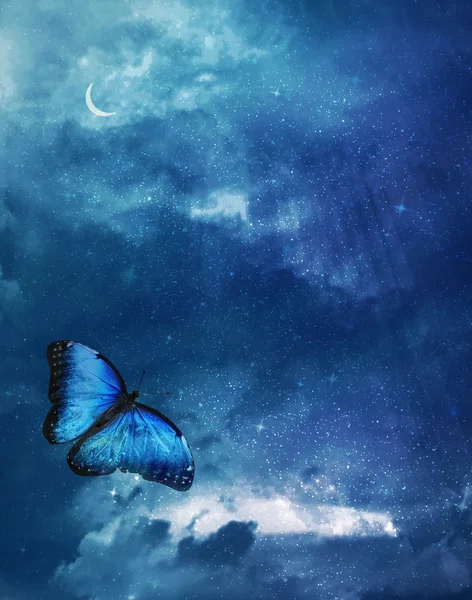 Blue butterfly on dark blue sky — Stock Photo, Image
