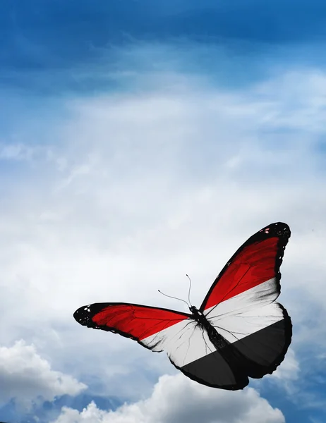 Yemen flag butterfly — Stock Photo, Image