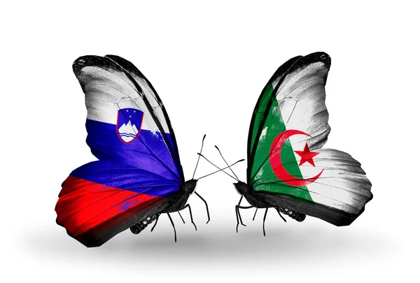 Papillons avec drapeaux Slovénie et Algérie — Photo