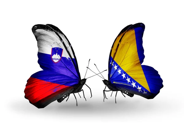 Butterflies with Slovenia and Bosnia and Herzegovina flags — Stock Photo, Image