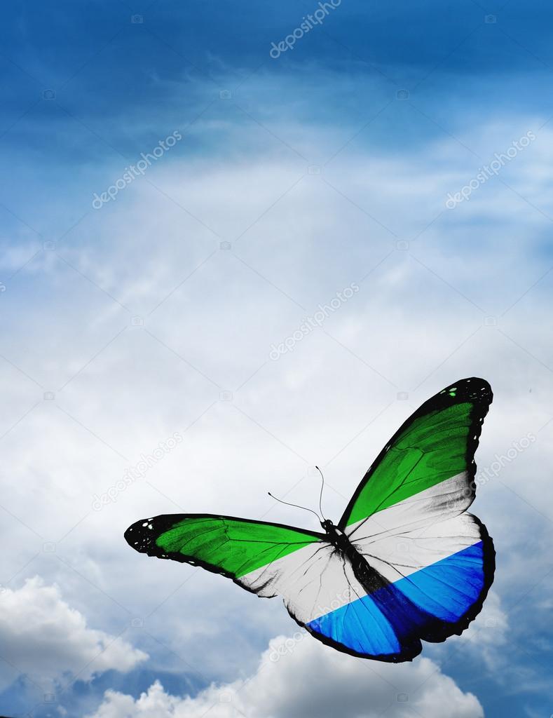 Sierra Leone flag butterfly