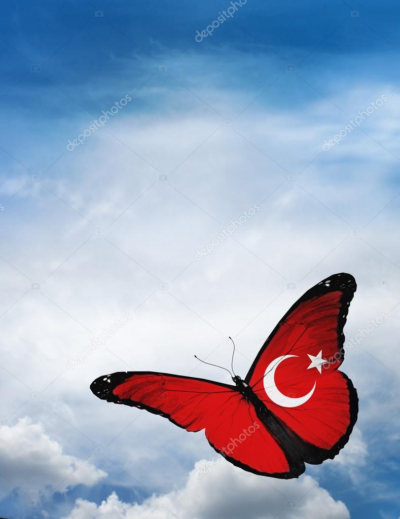 Turkey flag butterfly
