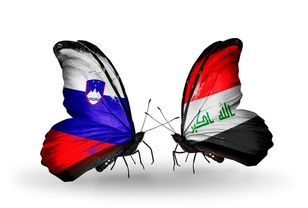 Butterflies with Slovenia and  Iraq flags — Stock Photo, Image