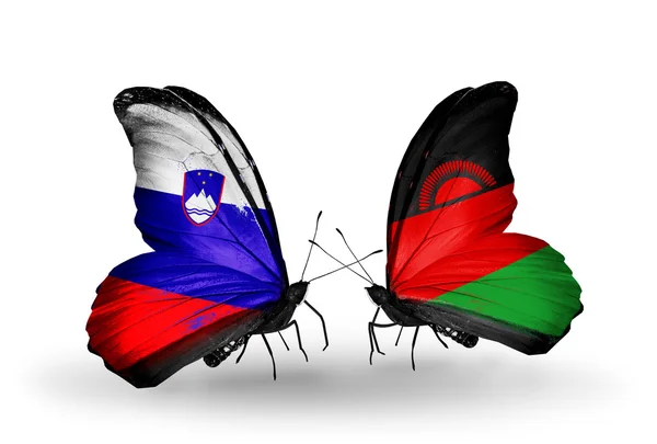 Kupu-kupu dengan Slovenia dan bendera Malawi — Stok Foto