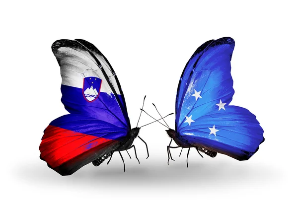 Butterflies with Slovenia and Micronesia flags — Stock Photo, Image