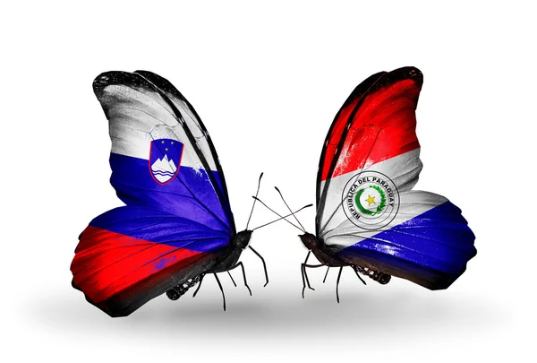 Butterflies with Slovenia and Paraguay flags — Stock Photo, Image