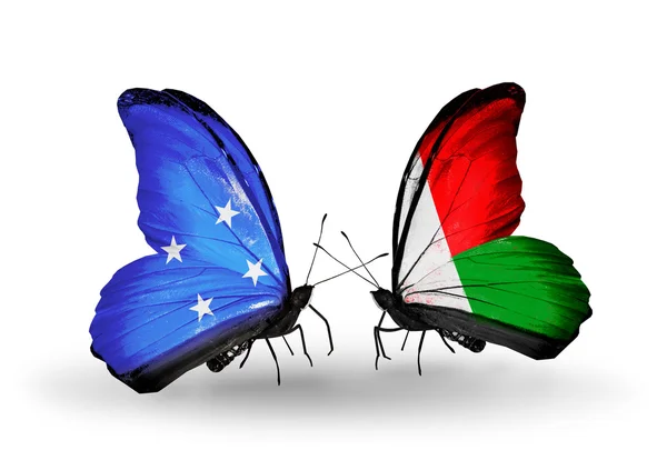 Butterflies with Micronesia and Madagascar flags — Stock Photo, Image
