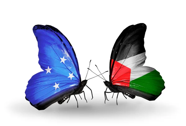 蝴蝶与密克罗尼西亚和巴勒斯坦旗帜 — 图库照片