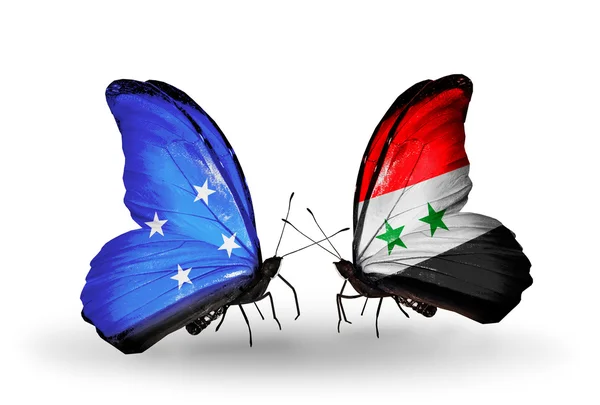 Sommerfugle hos Mikronesien og Syrien flag - Stock-foto