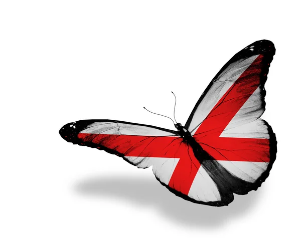 Alabama vlajka motýl — Stock fotografie