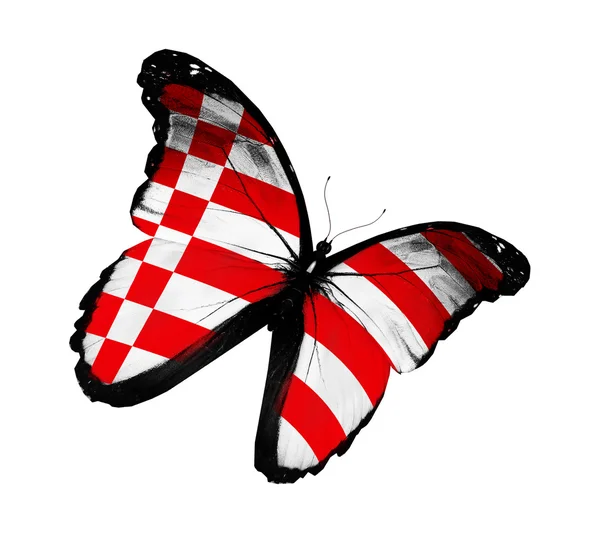 Brémy vlajka motýl — Stock fotografie