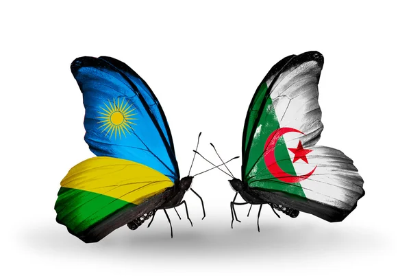 Butterflies with Rwanda and Algeria flags — Stock Photo, Image