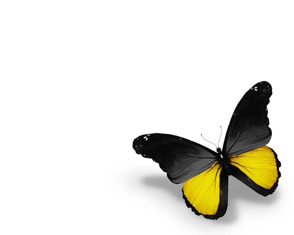 Bádensko-Württembersko vlajky motýl — Stock fotografie