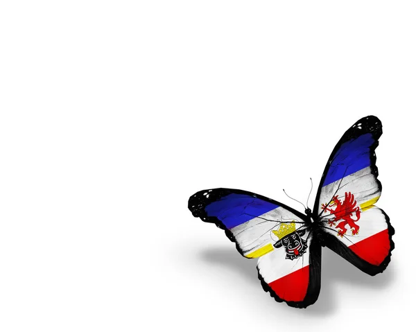 Meklenbursko-Přední Pomořansko vlajky motýl — Stock fotografie