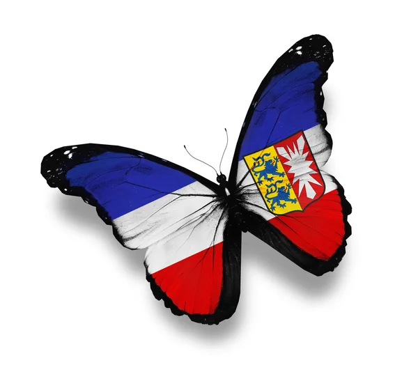 Šlesvicko-Holštýnsko vlajky motýl — Stock fotografie