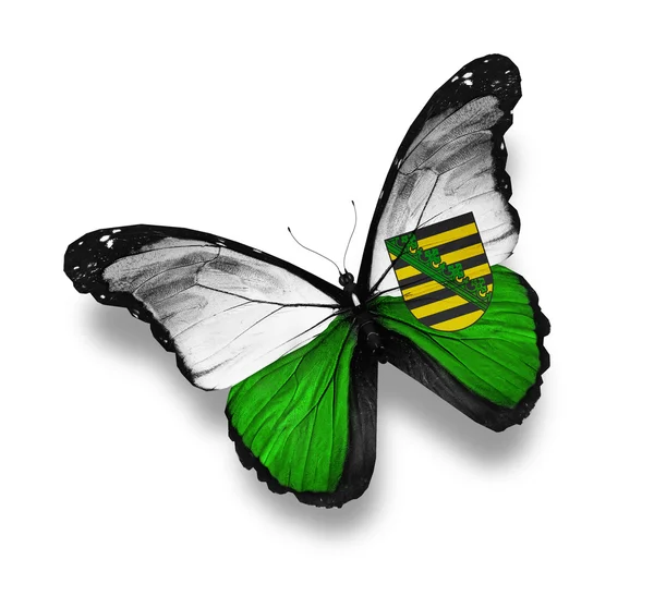 Severní Porýní-Vestfálsko vlajky motýl — Stock fotografie