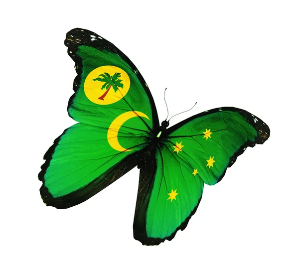 Cocos Islands flag butterfly — Stock Photo, Image