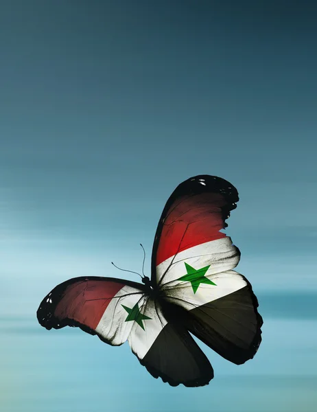 Papillon drapeau syrien — Photo