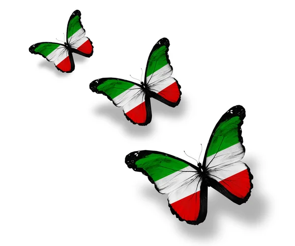 Severní Porýní-Vestfálsko vlajky motýli — Stock fotografie