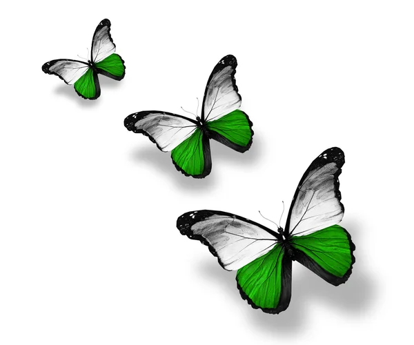 Прапор метеликів Саксонія — стокове фото