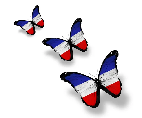 Schleswig-Holstein  flag butterflies — Stock Photo, Image