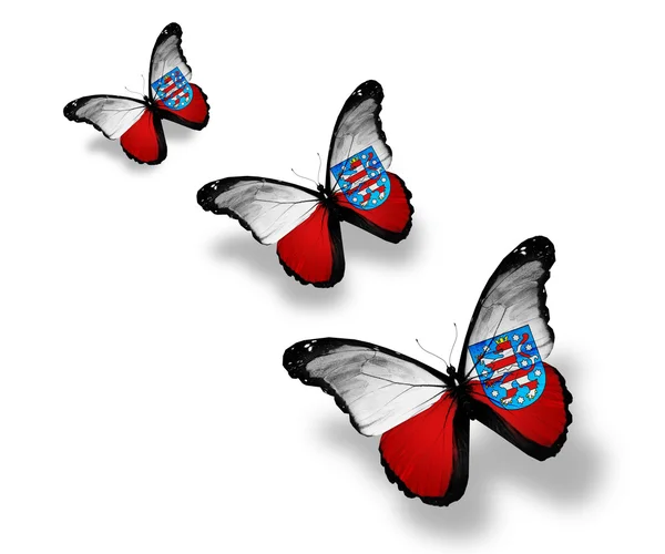 Turingia bandiera farfalle — Foto Stock