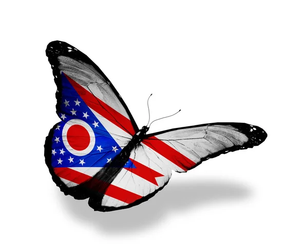 Ohio vlajka motýl — Stock fotografie