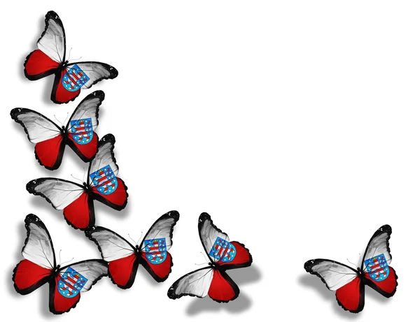 Turingia bandiera farfalle — Foto Stock