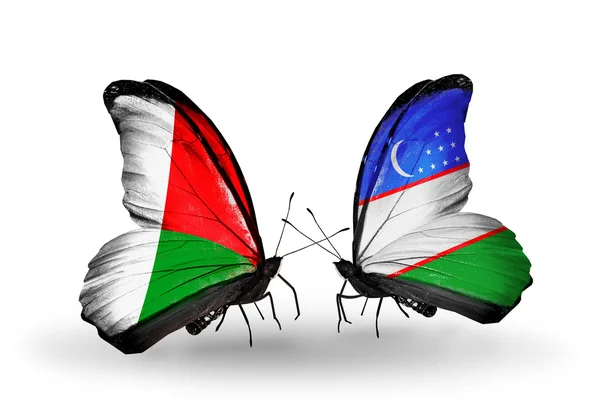 Kelebekler Madagaskar ve Özbekistan'a bayraklı — Stok fotoğraf