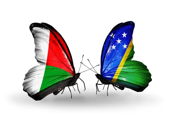 Butterflies with  Madagascar and Solomon  flags — Stock Photo, Image