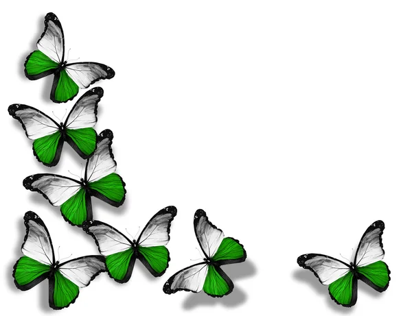 Saksen vlag vlinders — Stockfoto