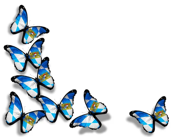 Бабочки под баварским флагом — стоковое фото