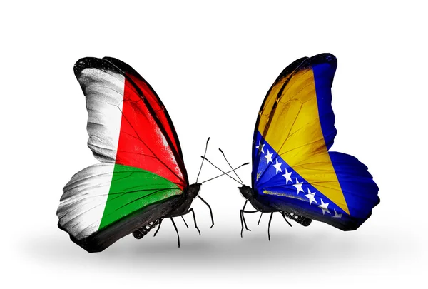 Farfalle con bandiere Madagascar e Bosnia-Erzegovina — Foto Stock
