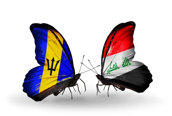 Butterflies with Barbados and  Iraq flags — Stock Photo, Image